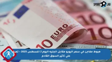 هبوط مفاجئ في سعر اليورو مقابل الجنيه اليوم 2 أغسطس 2025 – تعرف على تأثير السوق القادم